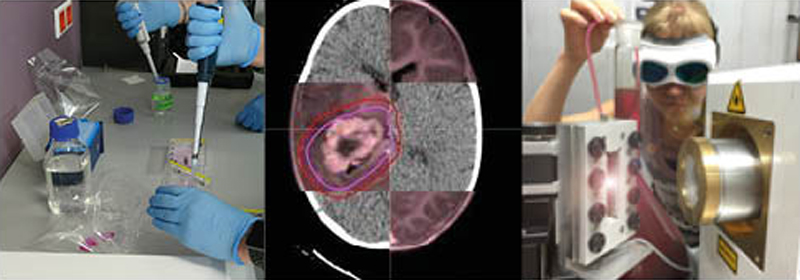 Pipettierung bei Zellbestrahlung; Fusionierung des MRT-Bildes zur Zielvolumenbestimmung bei Hirntumor und Gold-Nanopartikelsynthese.