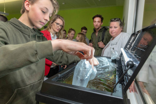 „Be strong for Kids“: Ein Aquarium für den Wartebereich des WPE - Titelbild