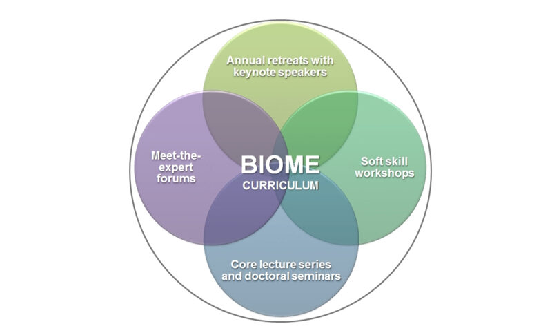 BIOME-Core: „Radiation Sciences“ - Grundlagenforschung trifft klinische Praxis - Titelbild
